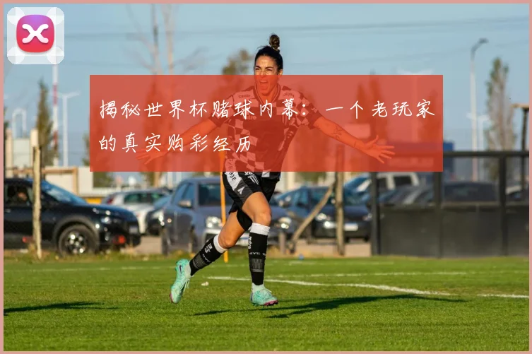 揭秘世界杯赌球内幕:一个老玩家的真实购彩经历