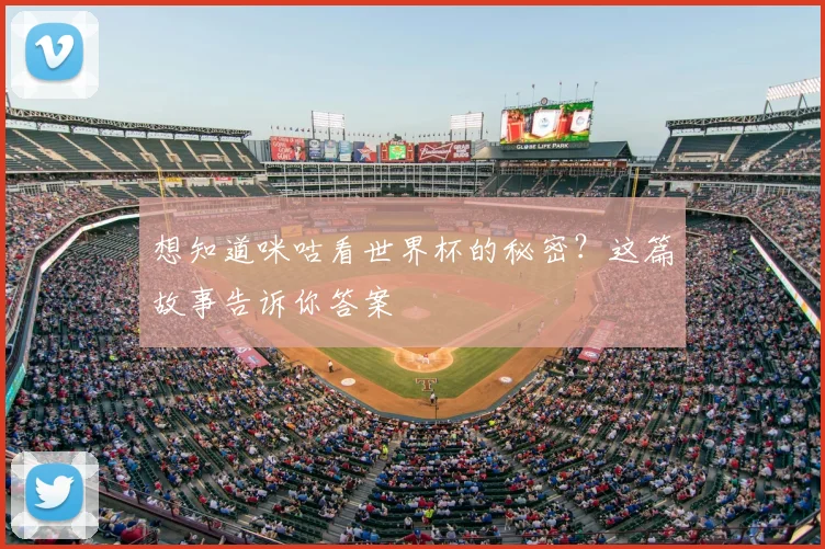 想知道咪咕看世界杯的秘密？这篇故事告诉你答案
