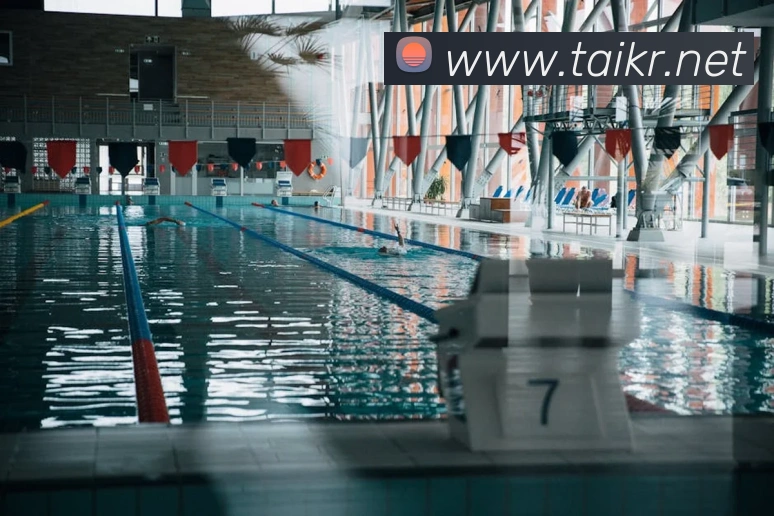 多媒体互动体验